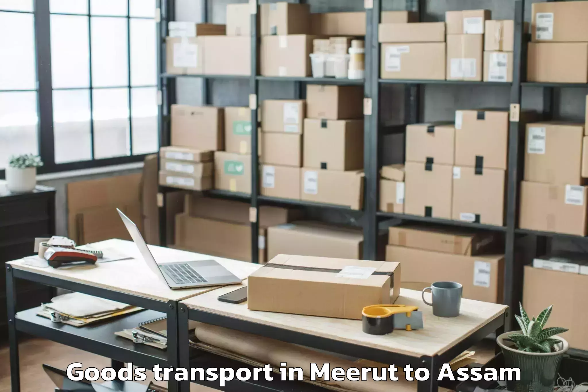 Book Meerut to Sivasagar Goods Transport Online